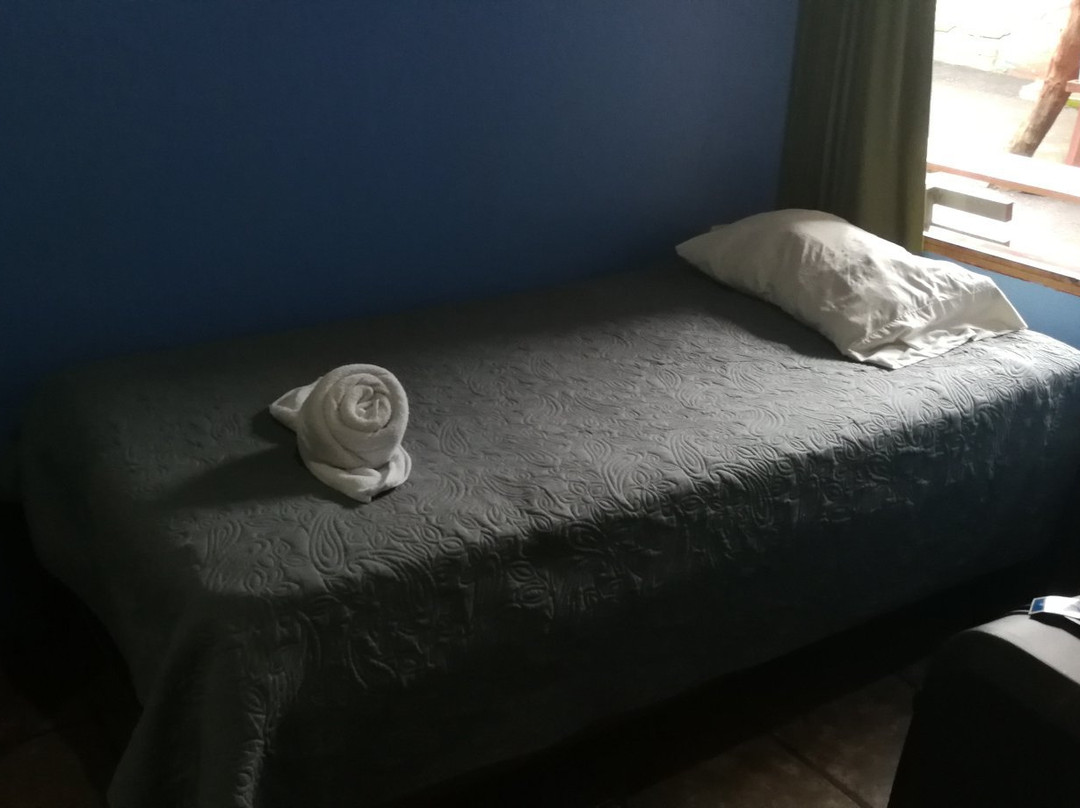 Forest Dreams & Manakin Lodge主图