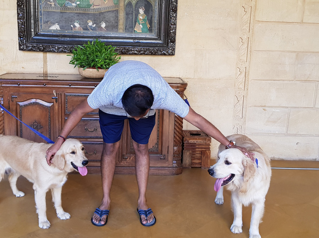 苏尔亚加酒店主图