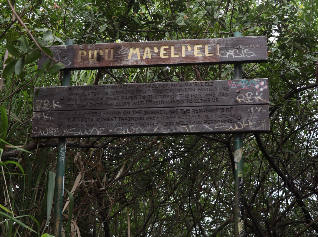 Pu’u Ma’eli’eli Digging Hill-卡内奥赫必去景点
