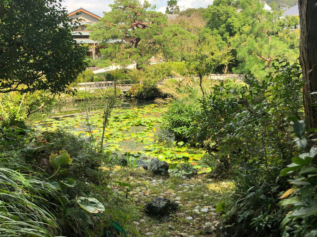 Shimizu House Garden景点图片