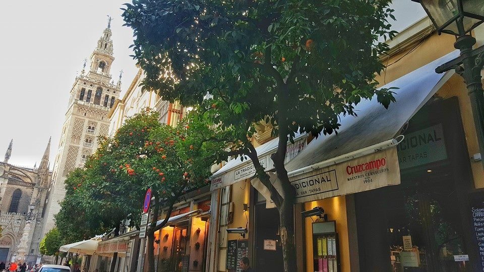 La tradicional主图