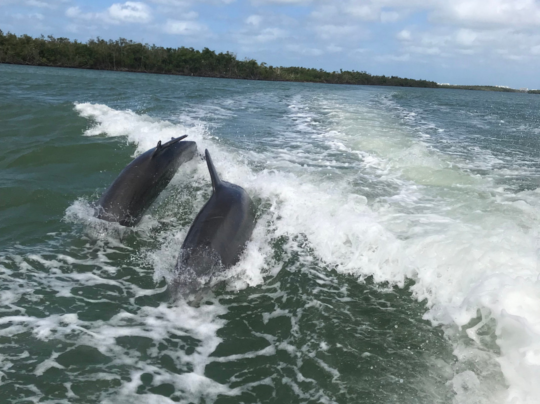 Marco Island Boat Tours-Goodland必去景点