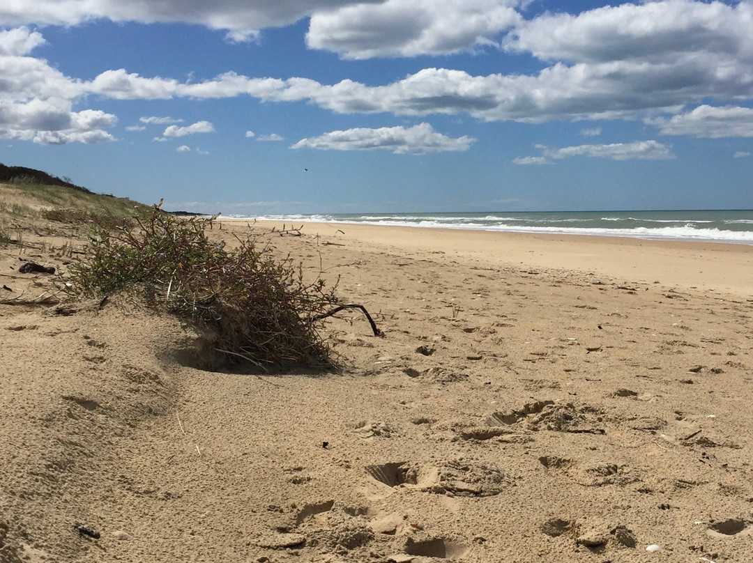 Reeeves Beach-Woodside必去景点