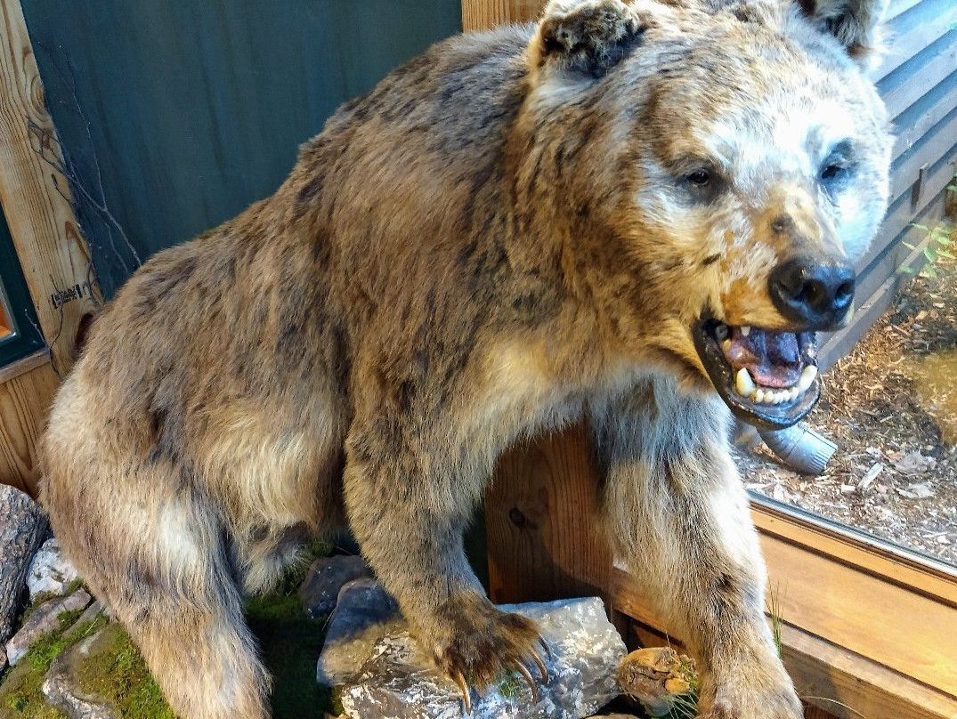 Bass Pro Shops-布兰森必去景点