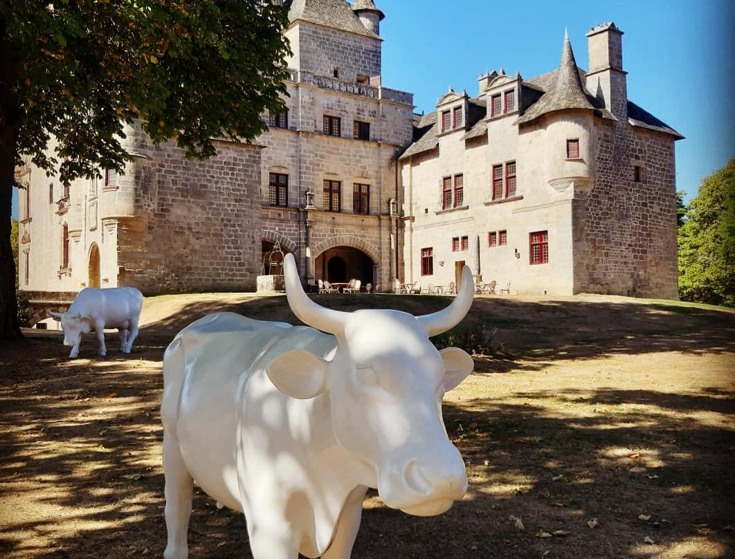 Château de Sédières景点图片