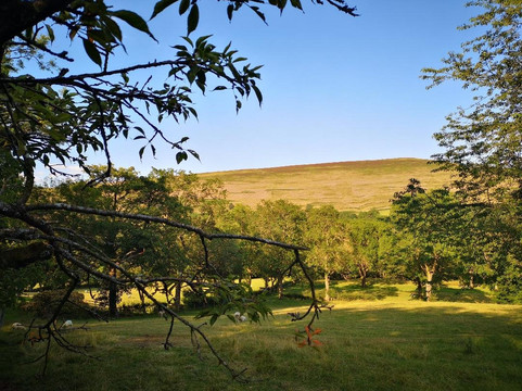 Underleigh House主图