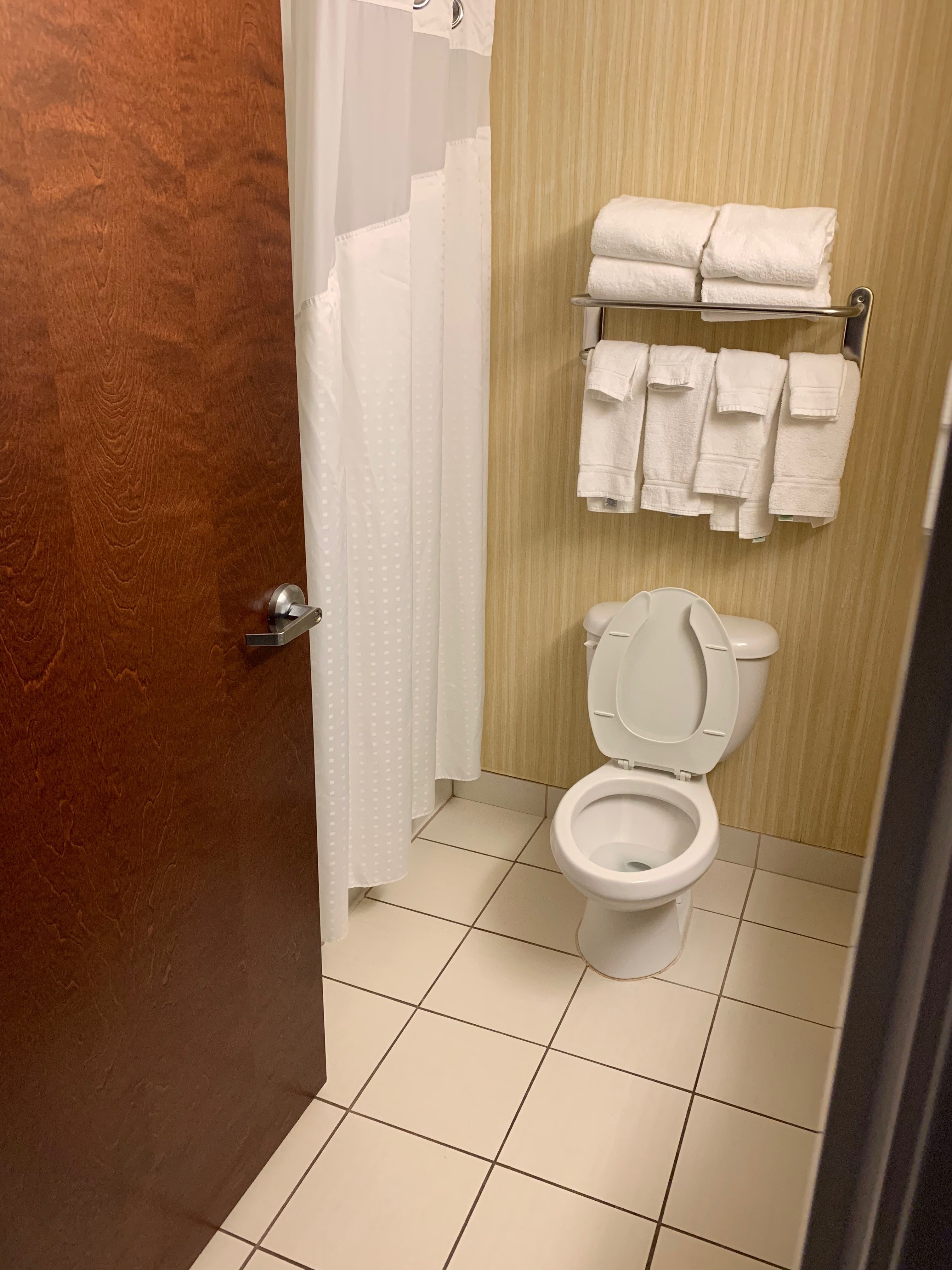 Holiday Inn Express & Suites Van Wert, an IHG hotel-浴室