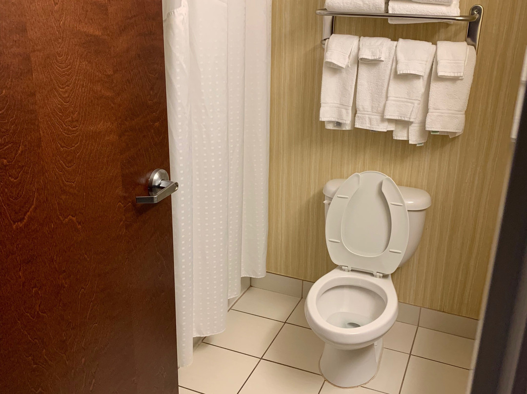 Holiday Inn Express & Suites Van Wert by IHG主图