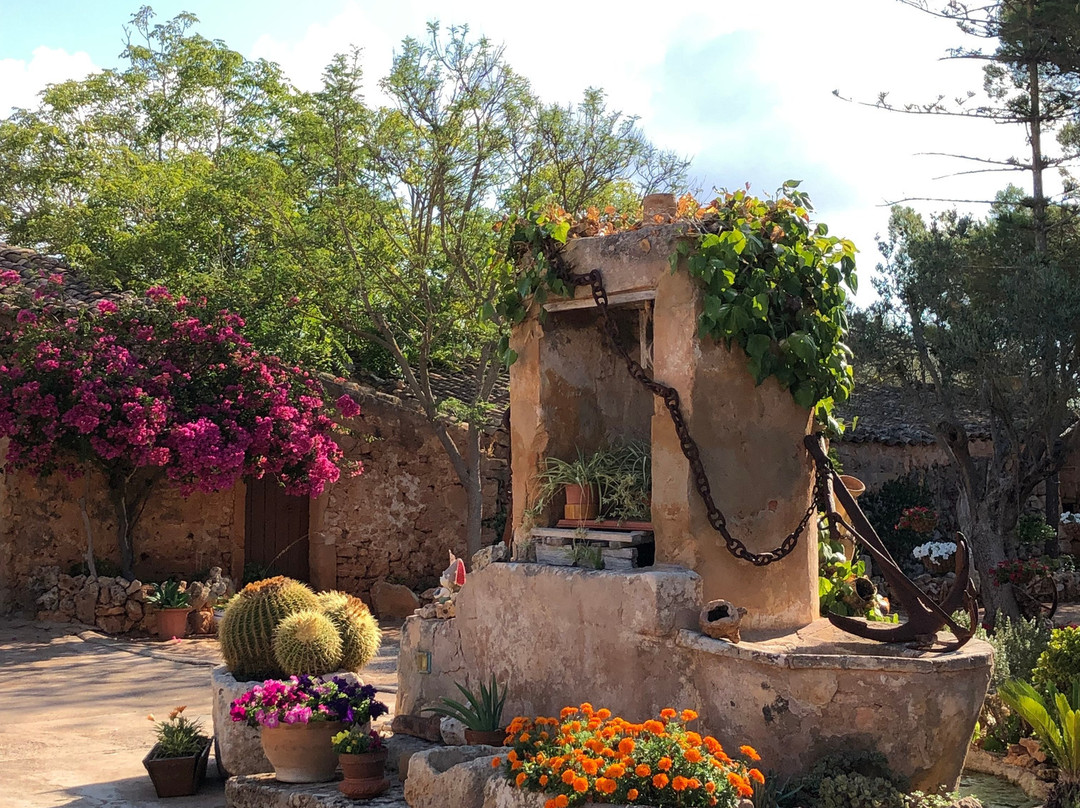 Agroturismo Finca Son Pieras主图