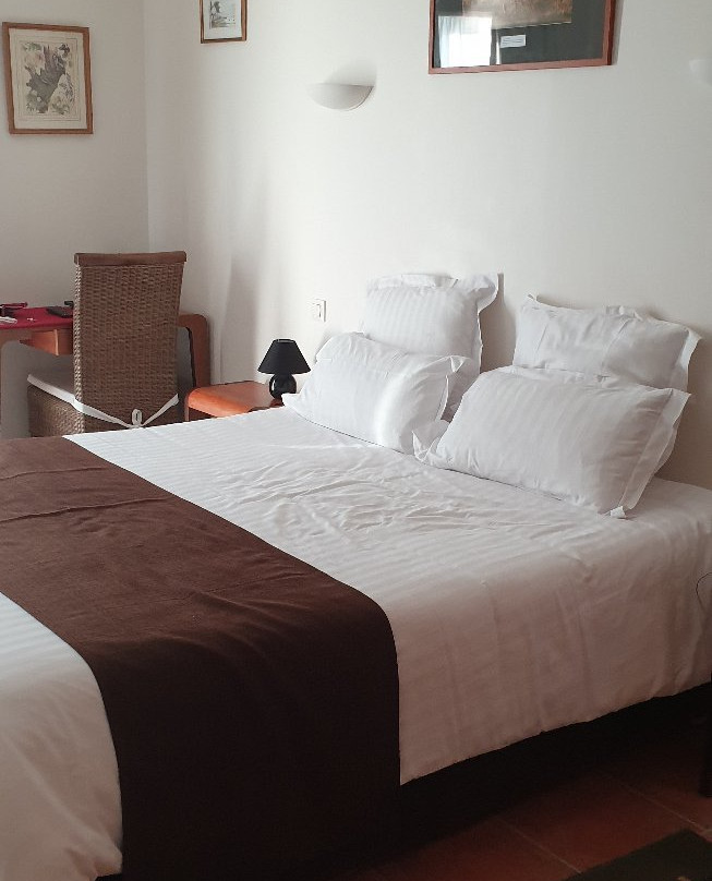 Hôtel Le Chevalier Gambette主图