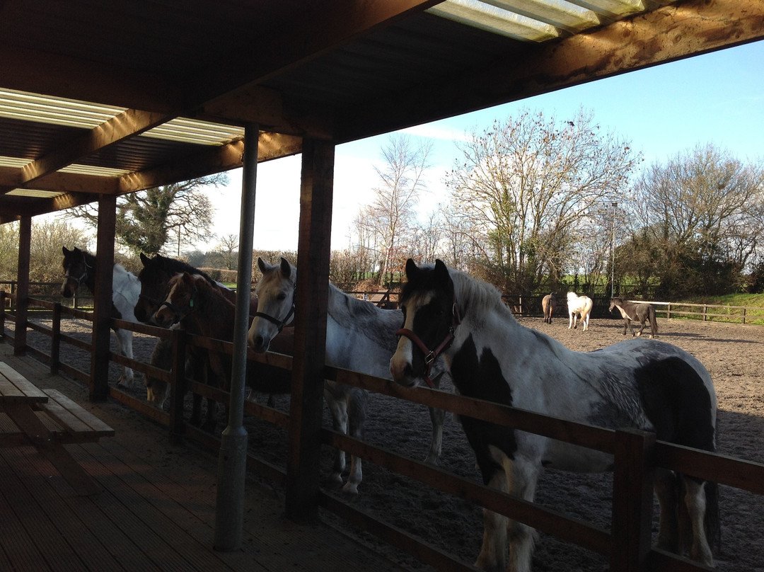 Quob Stables Equestrian Centre景点图片