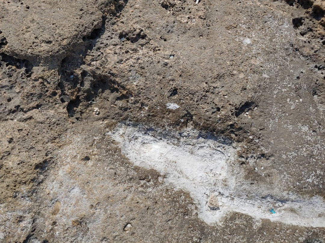 Phoenician Wall-Batroun必去景点