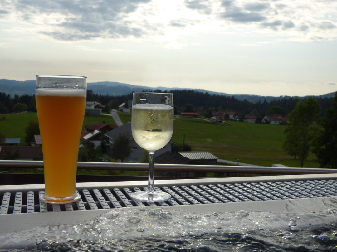1.Bier und Wohlfühlhotel Gut Riedelsbach主图