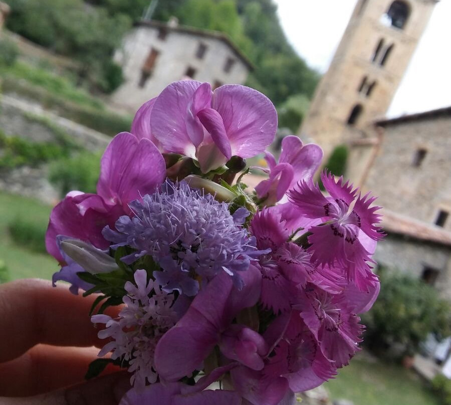 Beget Village-加泰罗尼亚必去景点