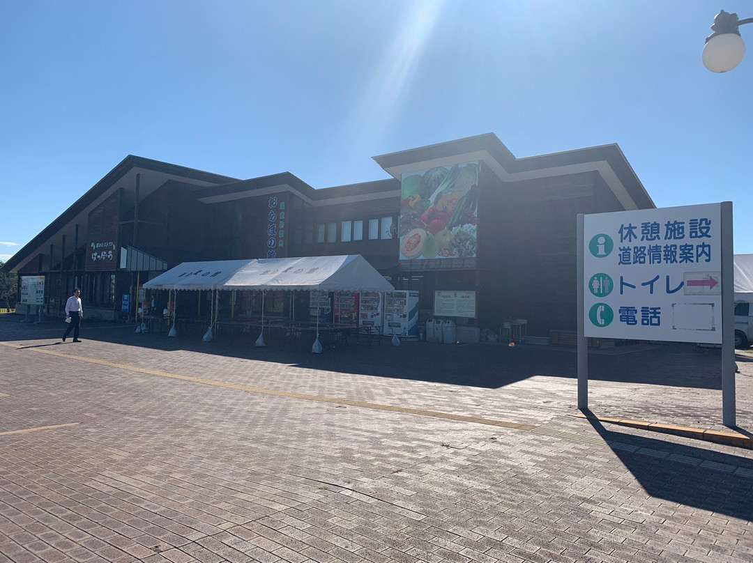 Michi-no-Eki Minehama-八峰町必去景点