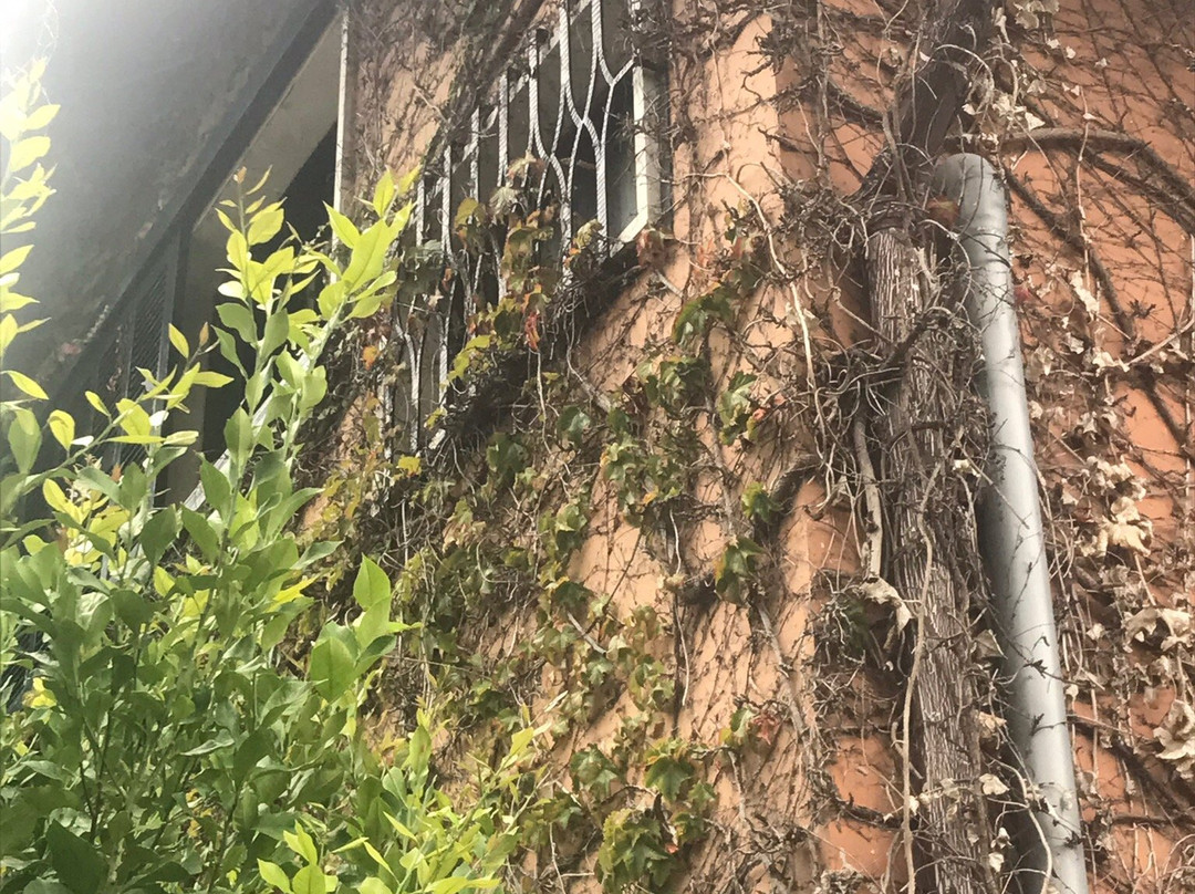 Arraigorri Landetxea主图