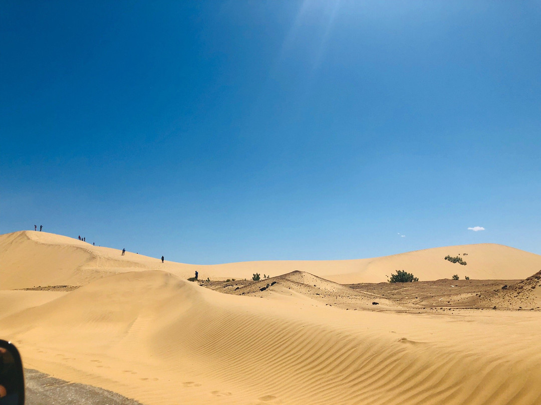 Los Medanos de Coro景点图片