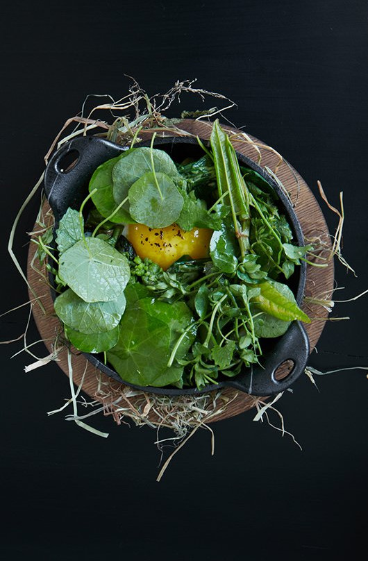 Shou Sugi Ban House主图