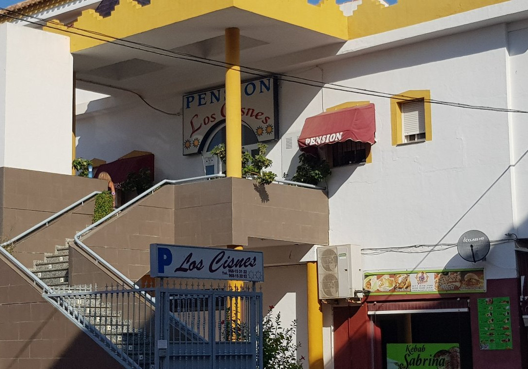 Pension Los Cisnes主图