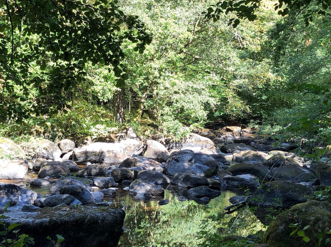 Site Corot-Saint Junien必去景点