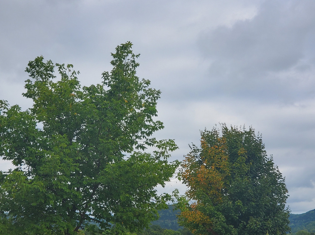 Cushon's Peak Campground
