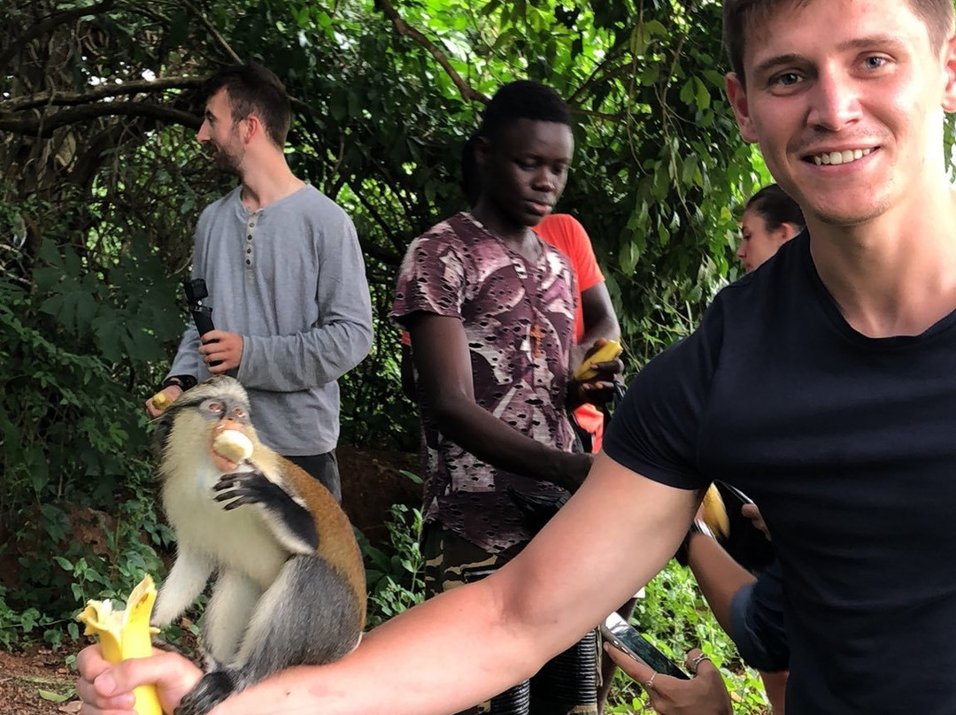 Tafi Atome Monkey Sanctuary And Cultural Village-Tafi Atome必去景点