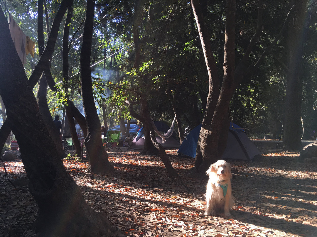 Pfeiffer Big Sur State Park-大苏尔必去景点