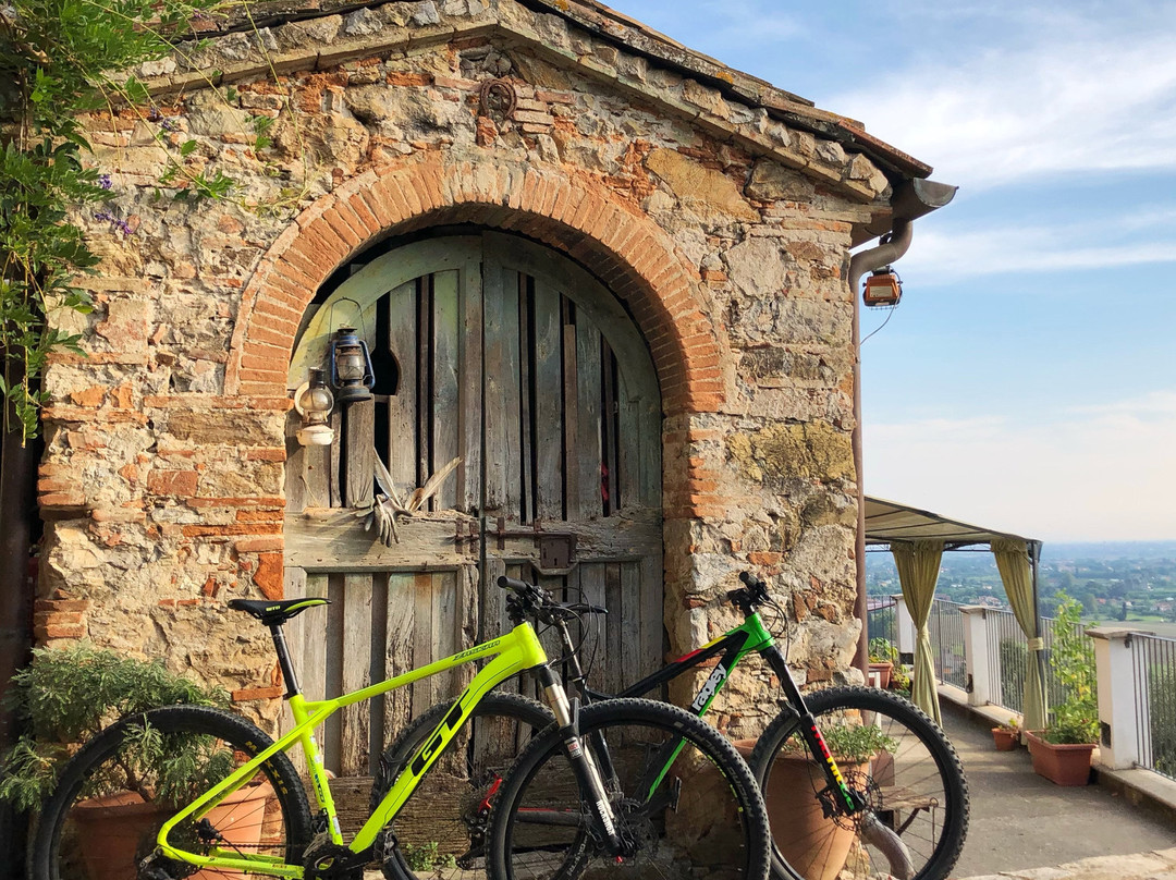 Azienda Agrituristica Il Leopoldino主图