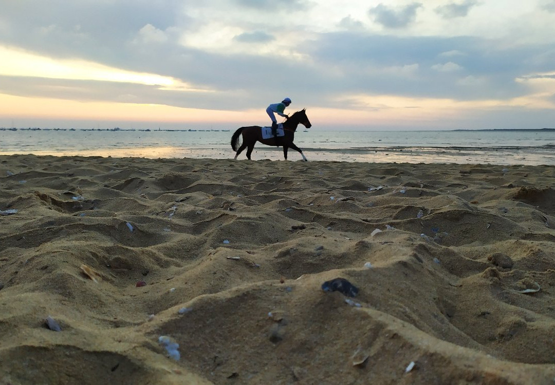 Playas de La Calzada景点图片