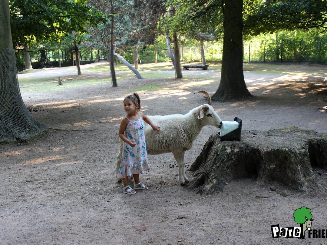 Parc Animalier Friedel景点图片