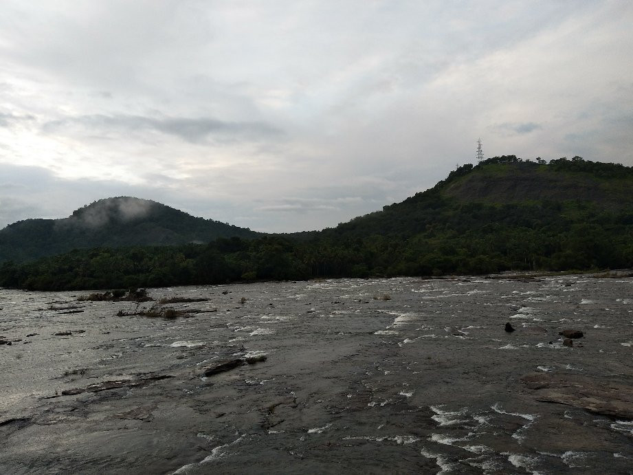 Athirapilly River Resort主图