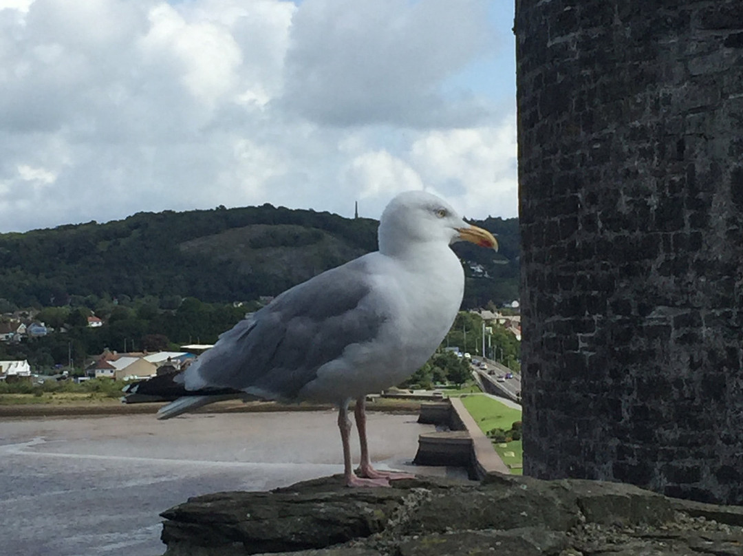 The Old Rectory主图