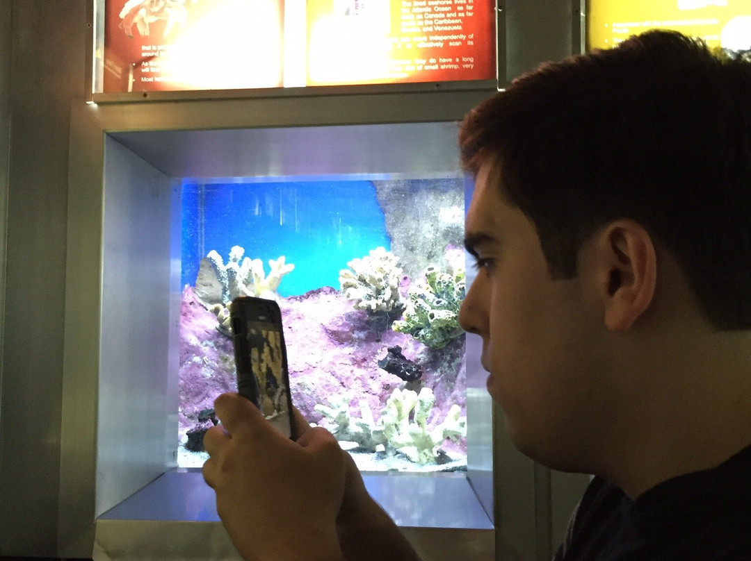 Belle Isle Aquarium-底特律必去景点