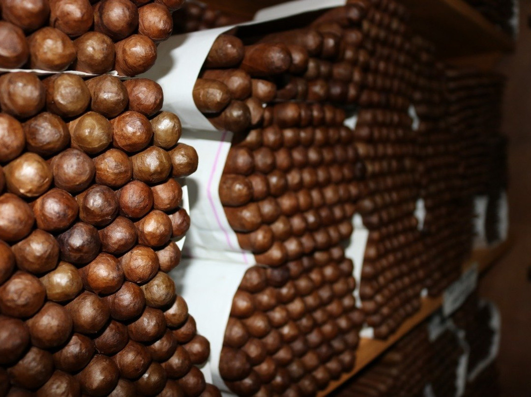 Fifi Jewelry And Cigar Store-普拉塔港必去景点