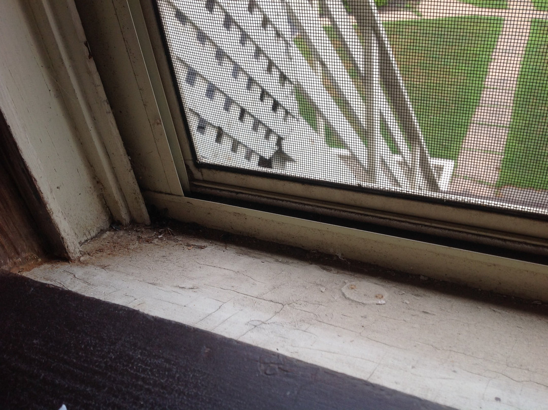 Victoria's Historic Inn主图