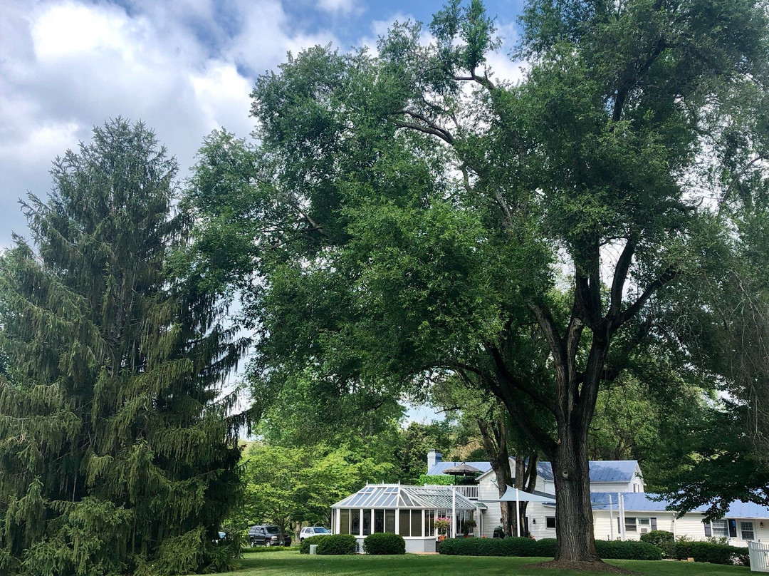 老弗吉尼亚旅馆主图