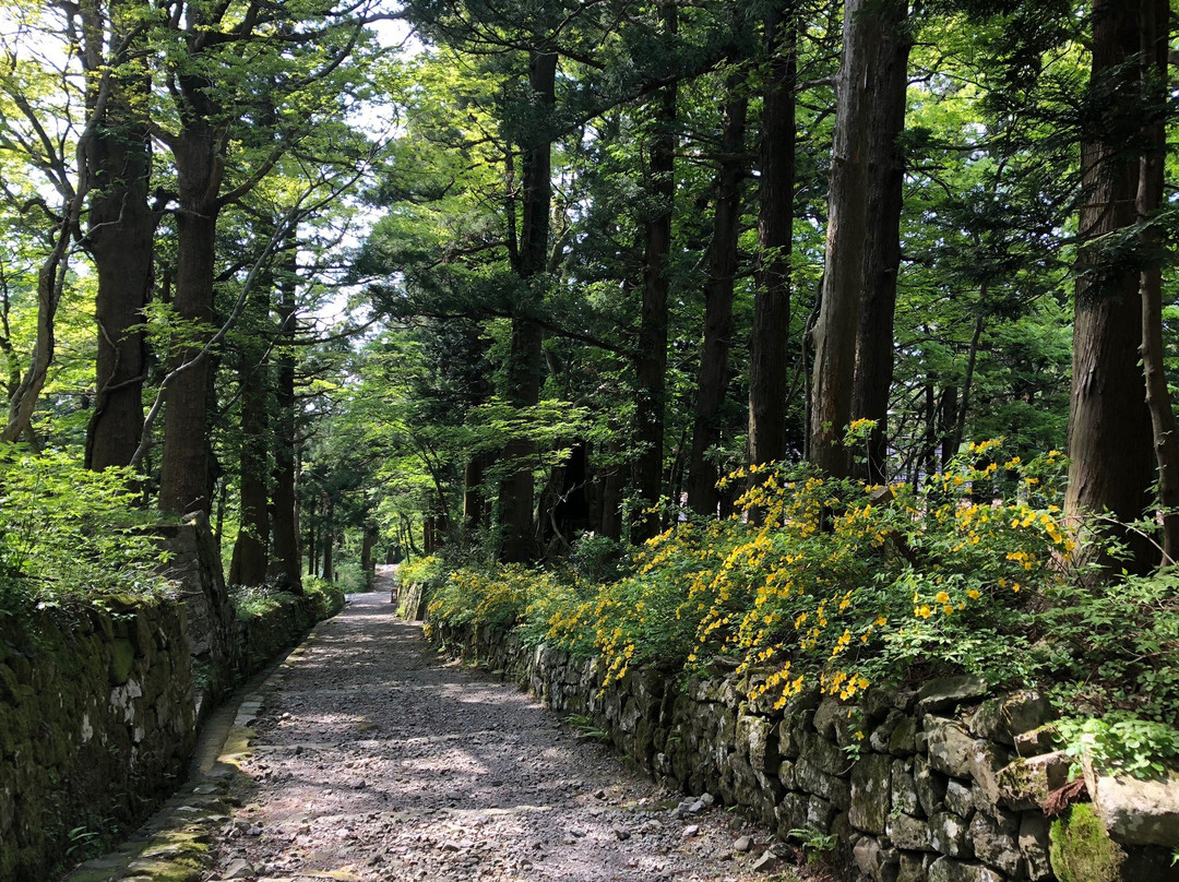 Daisen-ji Temple Amidado景点图片