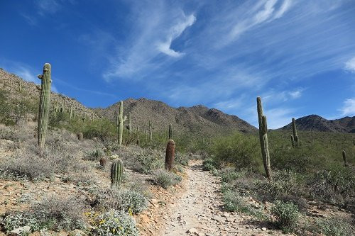 The Gateway Trailhead-斯科茨代尔必去景点