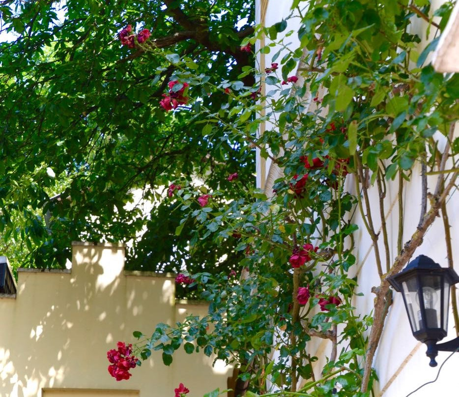 Hotel Weinhaus Hoff主图