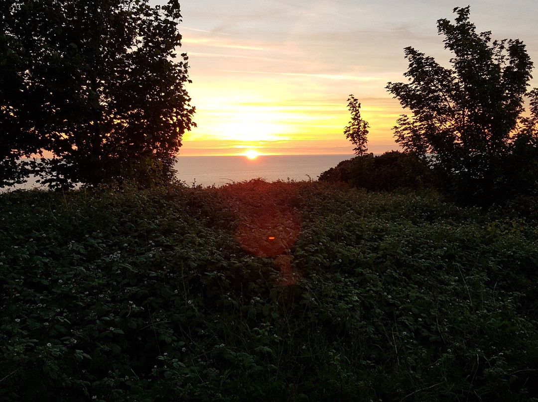 Cap de la Heve-勒阿弗尔必去景点