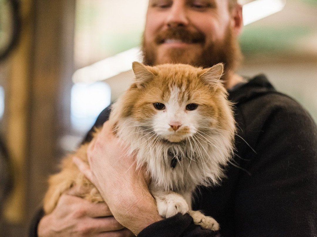 Mikes Bike Park-代顿必去景点