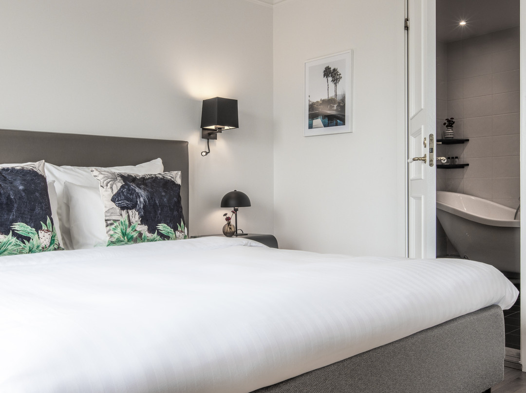 雷迪森公园客栈主图