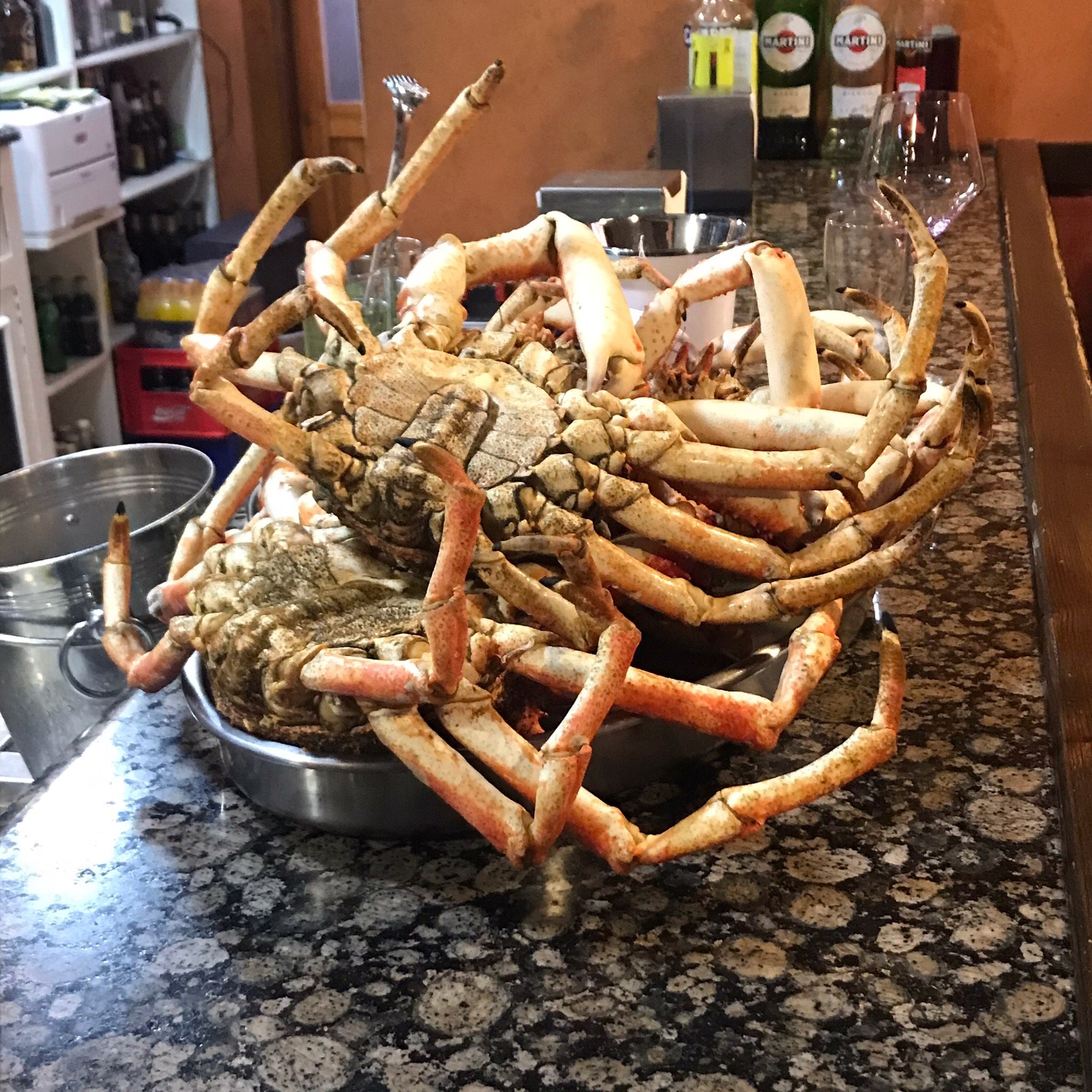 Posada Restaurante Los Gallos-官方