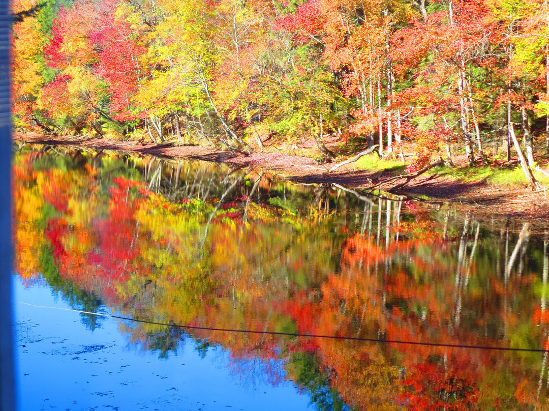 Tickner's Moose River Paddling Trails景点图片