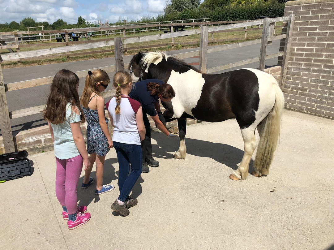 World Horse Welfare - Glenda Spooner Farm-Somerton必去景点