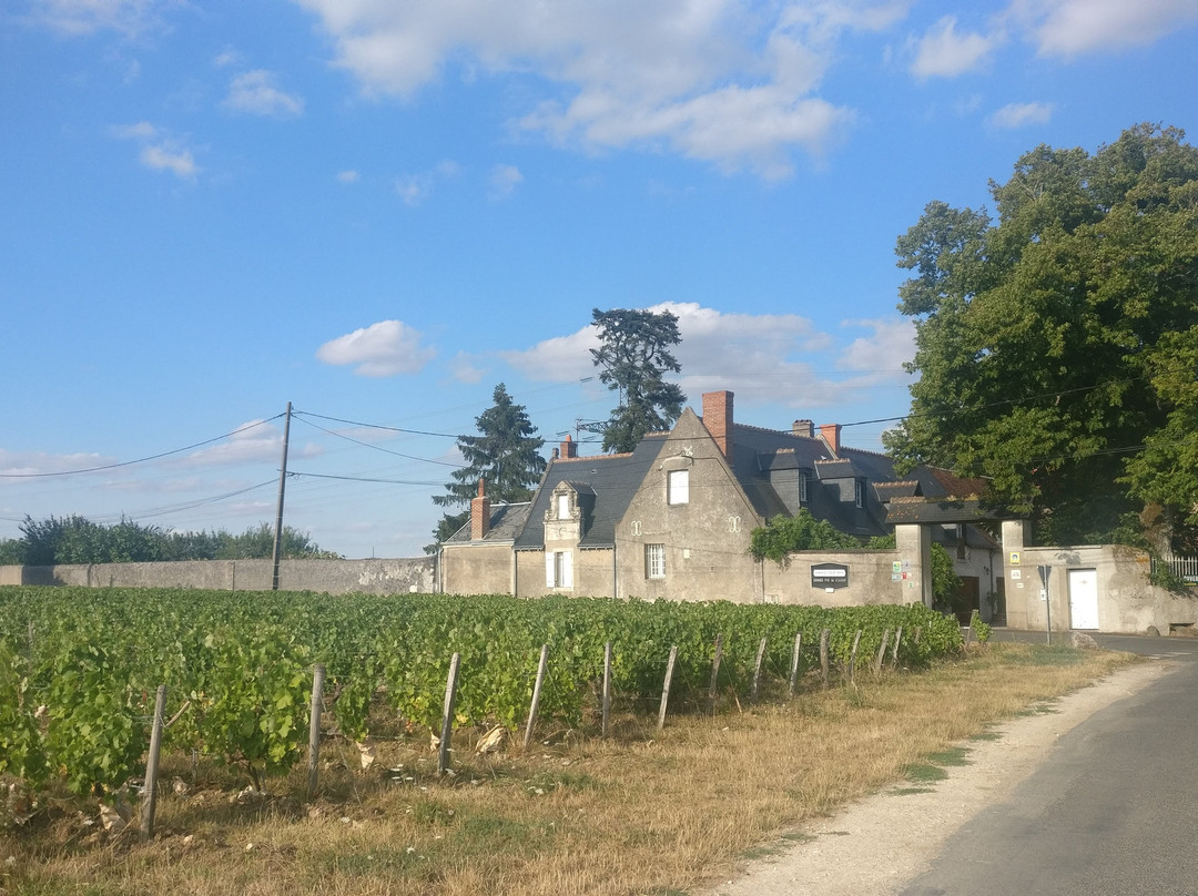 Domaine du Clos de l'Epinay景点图片