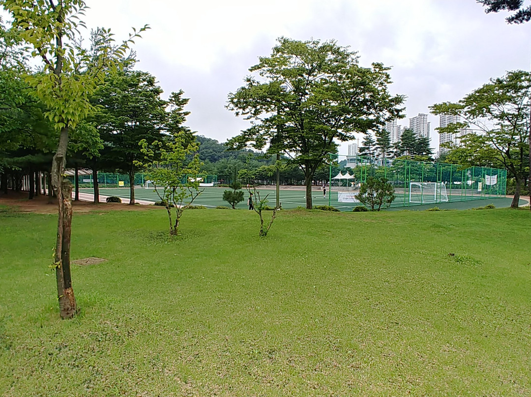 Dongtan Central Park景点图片
