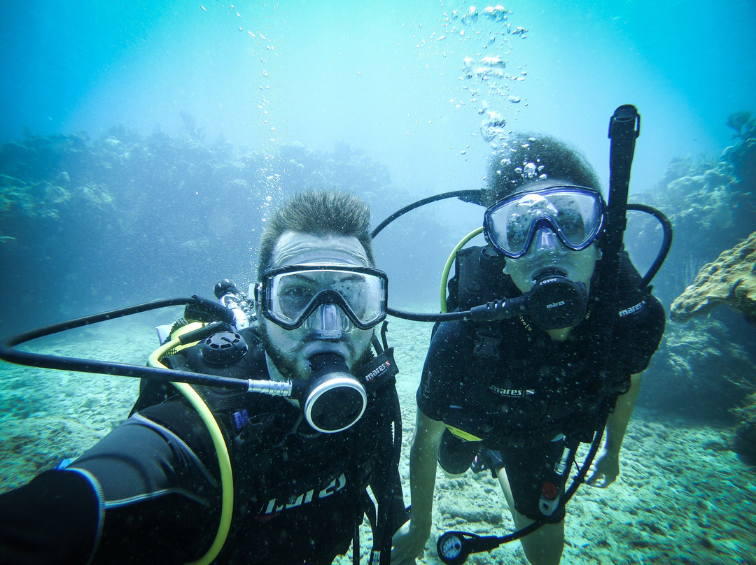 Eco Diving Cuba景点图片