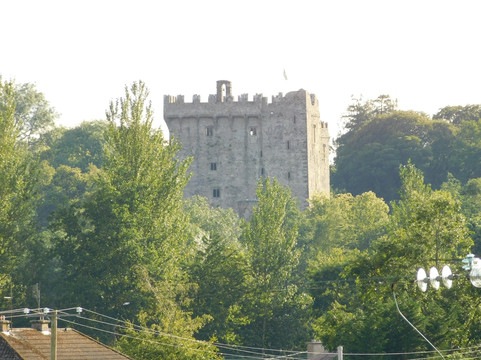 The White House Bed & Breakfast主图