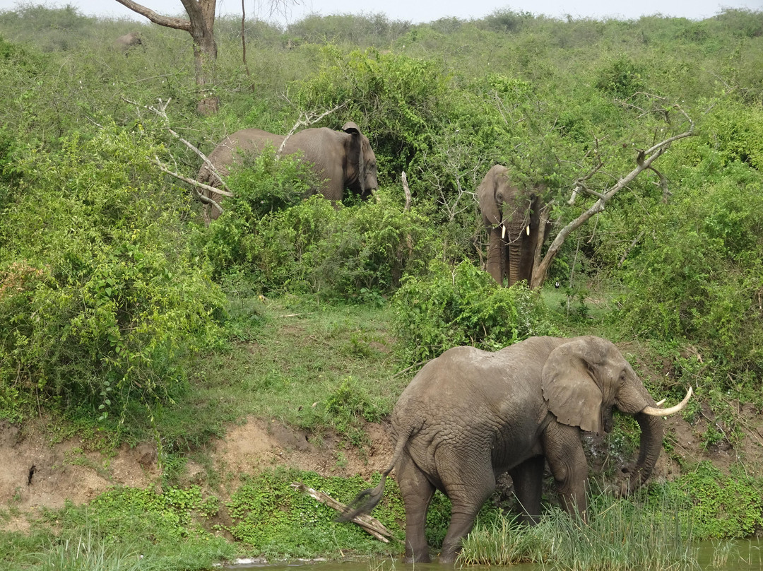 RWATS - Rwenzori Action for Tourism Services-Kasese必去景点